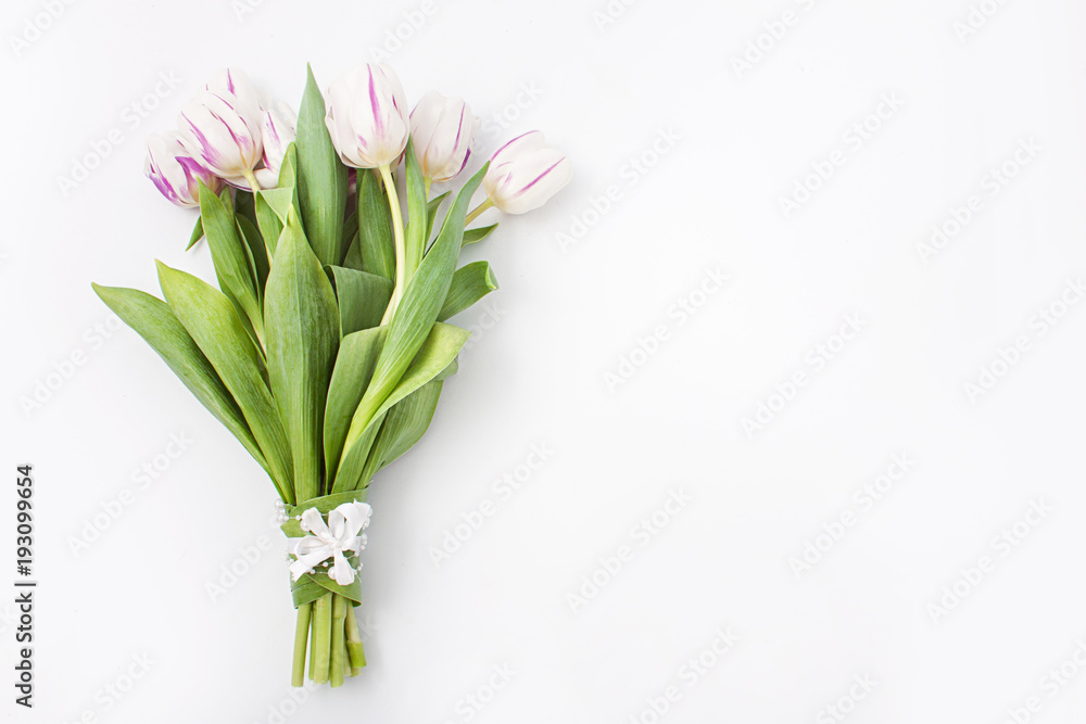 Fototapeta premium wiosenne kwiaty na białym tle w studio. tulipany