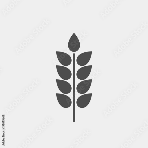 Spikelet flat vector icon