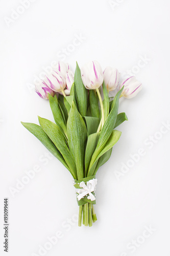 spring flowers on a white background in the studio. tulips