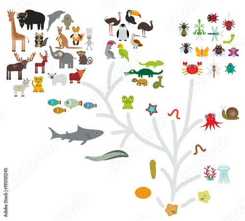 Obraz na plátně Evolution scale from unicellular organism to mammals