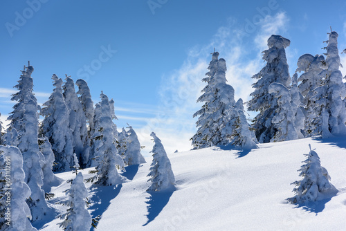 Peak of the Mountain.  Peak of the mountain with trees in winter. © krstrbrt