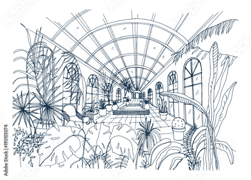 Freehand drawing of interior of greenhouse full of tropical plants. Monochrome sketch of glasshouse with exotic trees and large panoramic windows. Vector illustration in black and white colors.