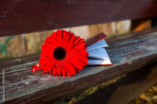 Fototapeta Naklejka Na Ścianę i Meble -  Red flower and a book on a bench