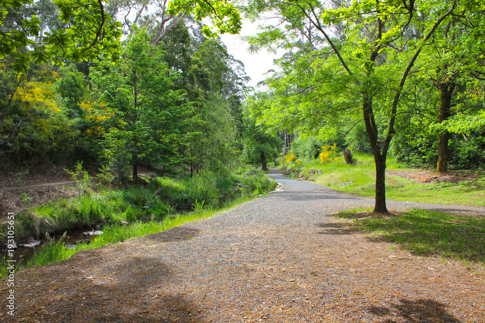 A walk beside the stream A walk beside the stream