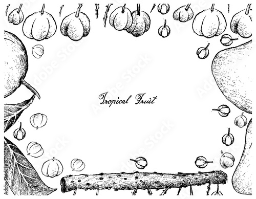 Hand Drawn Frame of Otaheite Gooseberry and Mango Fruits