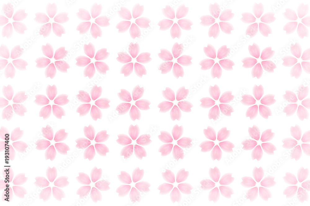 桜 パターン 花 春 白背景 桜 パターン 花 春 白背景