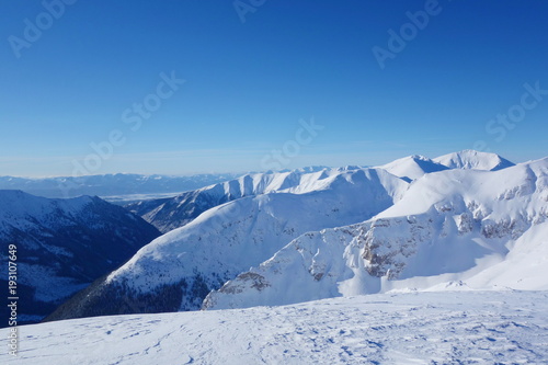 Wallpaper Mural Top of Kopa Kondracka during winter, Zakopane, Tatry mountains, Poland Torontodigital.ca