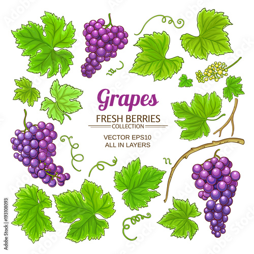 grapes elements set