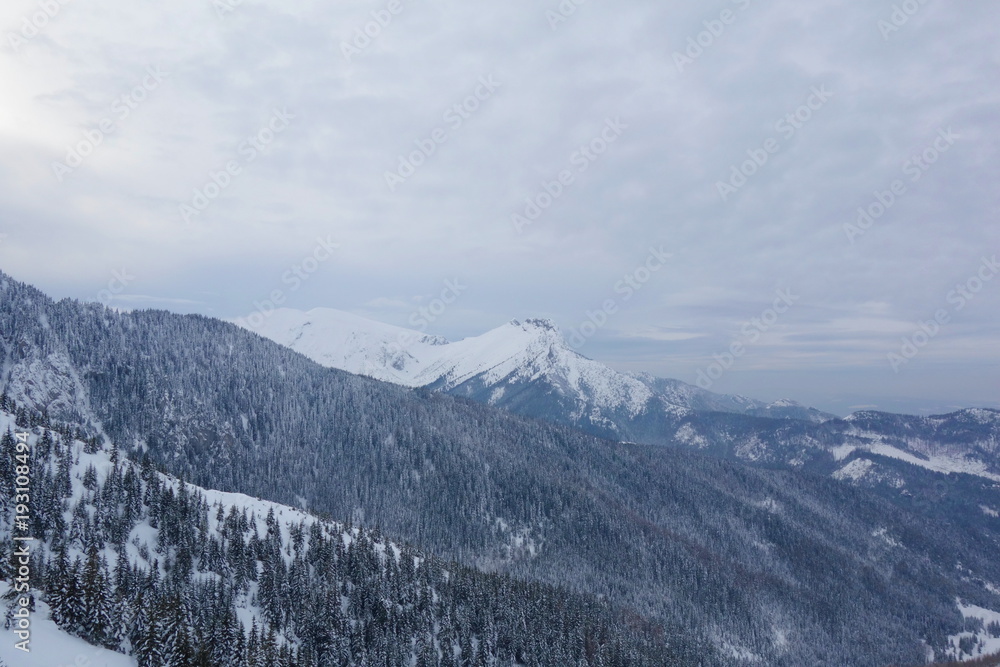 Mountain hiking trail from Kuznice to Hala Gasienicowa during winter, Zakopane, Tatry, Poland