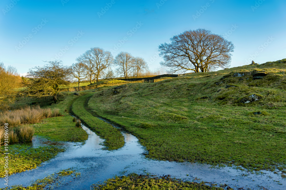 An English country scene with a partially flooded track passing through a field An English country scene with a partially flooded track passing through a field