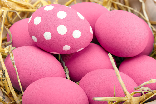 Pink Easter eggs on wodden background. Still life photo of lots of pink easter eggs. Copyspace. photo