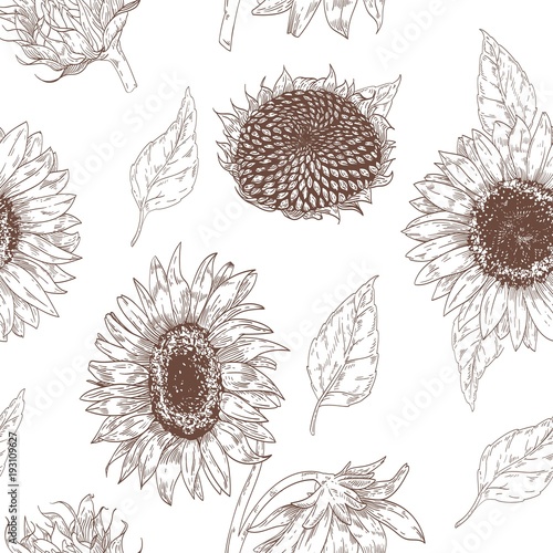 Elegant floral seamless pattern with sunflower parts. Backdrop with beautiful flowers and leaves hand drawn on white background. Monochrome vector illustration in vintage style for textile print.