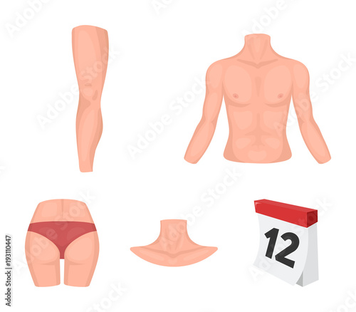 Torso, leg, neck and buttocks. Body parts set collection icons in cartoon style vector symbol stock illustration web.