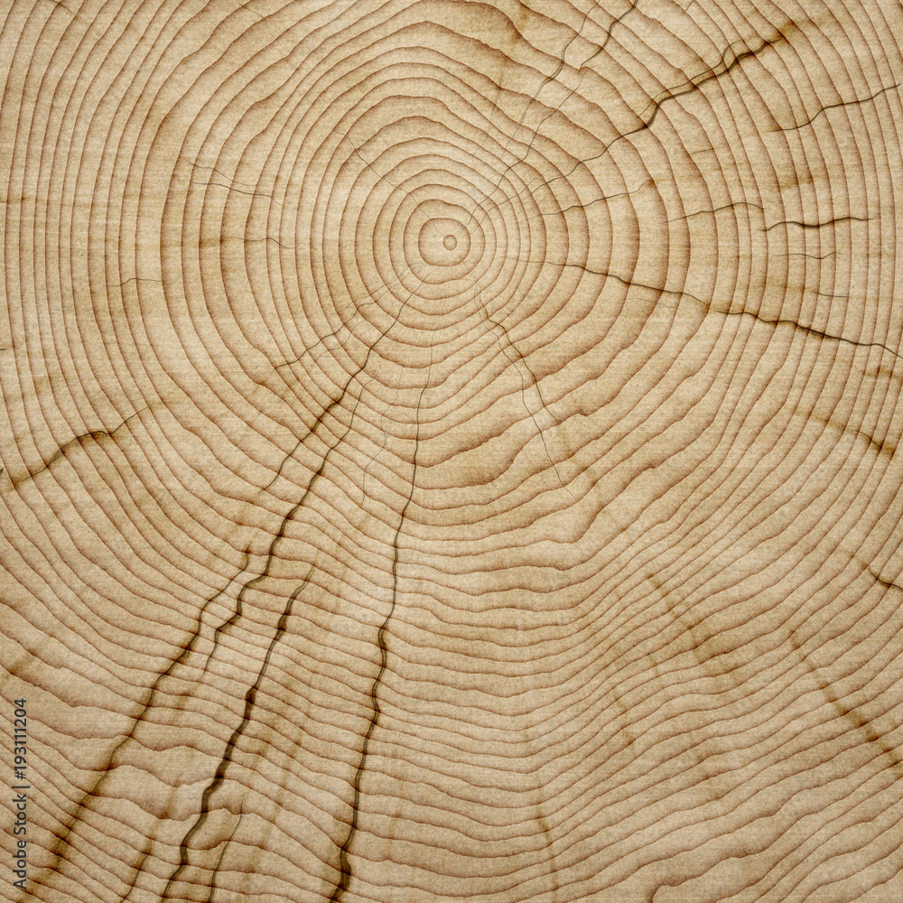 Fototapeta premium wooden background texture