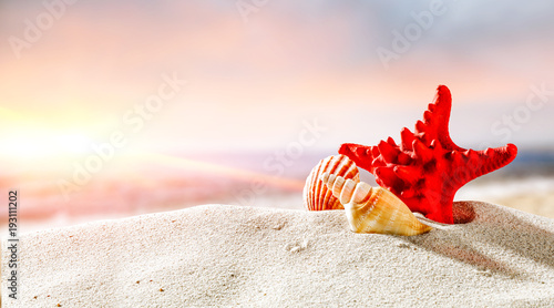 Fototapeta Naklejka Na Ścianę i Meble -  Shell on sand and free space for your decoration. 