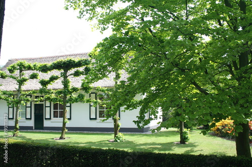 Fototapeta Naklejka Na Ścianę i Meble -  typical dwelling, farmhouse  in Teteringen