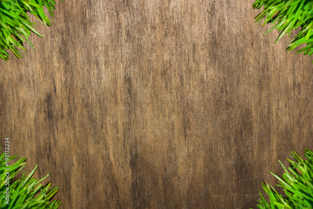 Fresh spring green grass on a wooden background