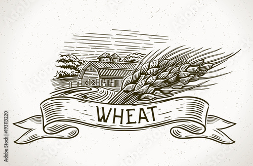 Graphical illustration of a farm with a sheaf of wheat in the foreground and a design element - tapes for inscription. 