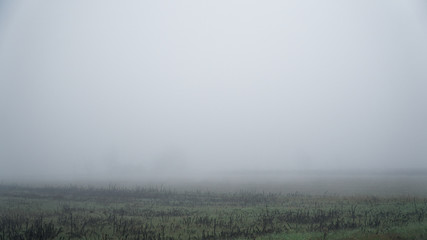 Keuken achterwand Mistige ochtendstond Mistig winterveld met boomsilhouetten  © Didi