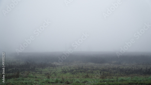 Landscape of dense fog in the field and silhouette of trees in warm winter