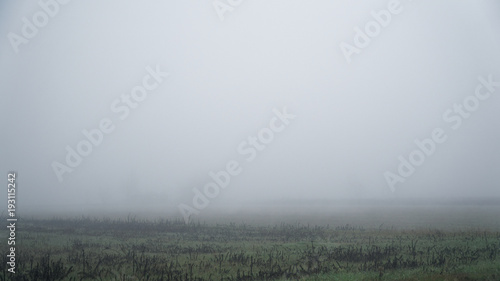 Landscape of dense fog in the field and silhouette of trees in warm winter