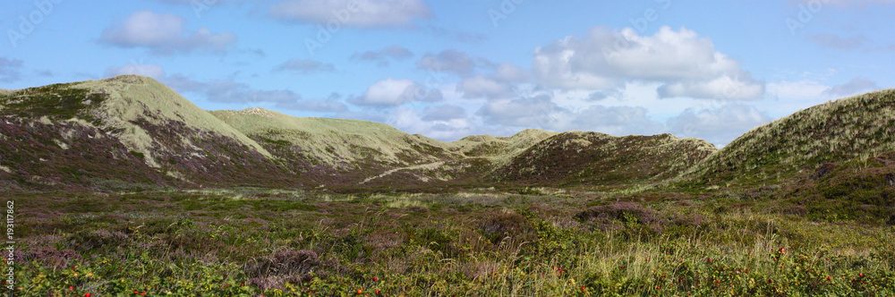Fototapeta premium Sylt