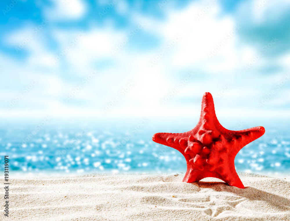 Shell on sand and free space for your decoration. Shell on sand and free space for your decoration.