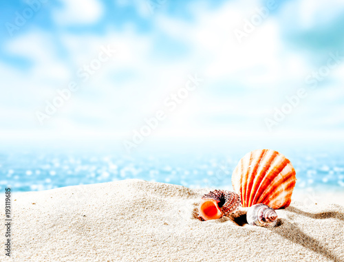 Sea and shell on sand 