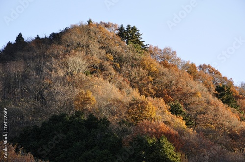 晩秋の山にそそぐ朝日