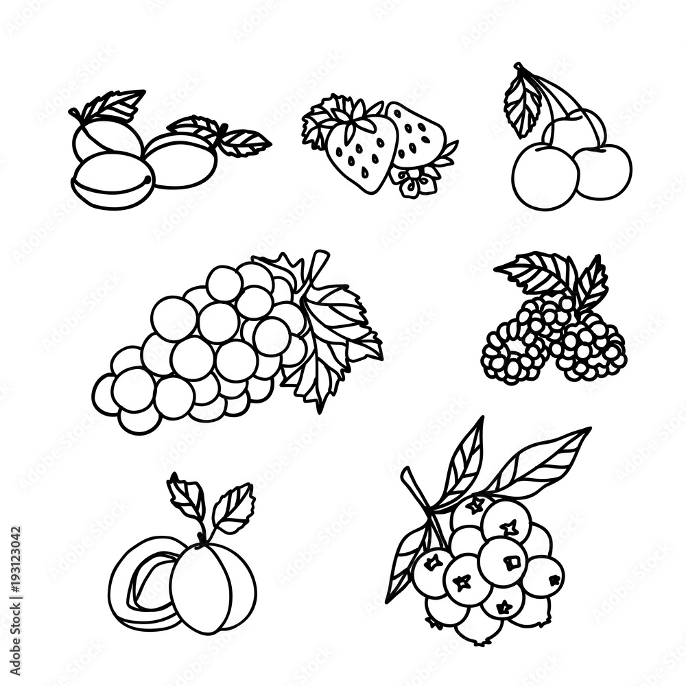 Fruits Sketch Fruits Sketch