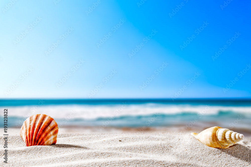 Summer beach and shells with blurred blue sea and sky 