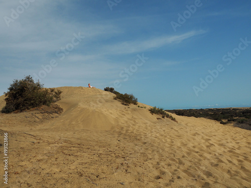 D  nen von Maspalomas auf Gran Canaria