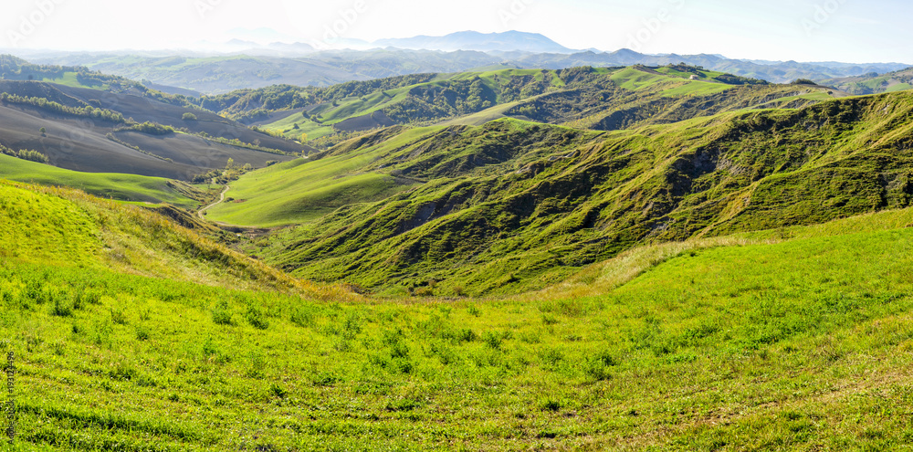 Obraz premium Colline verdi