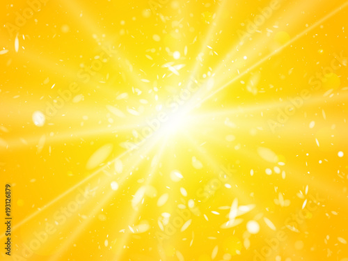 sun light rays and dust summer background