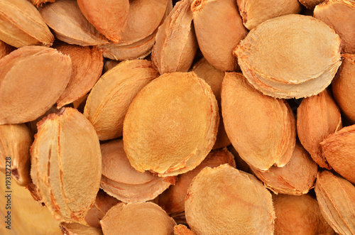 Slika na platnu Dried apricot kernel