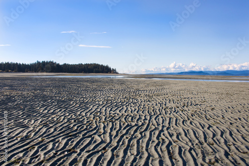 Close-up of a vertical sand pattern on a beach with trees, mountains, and clouds in the distance. photo
