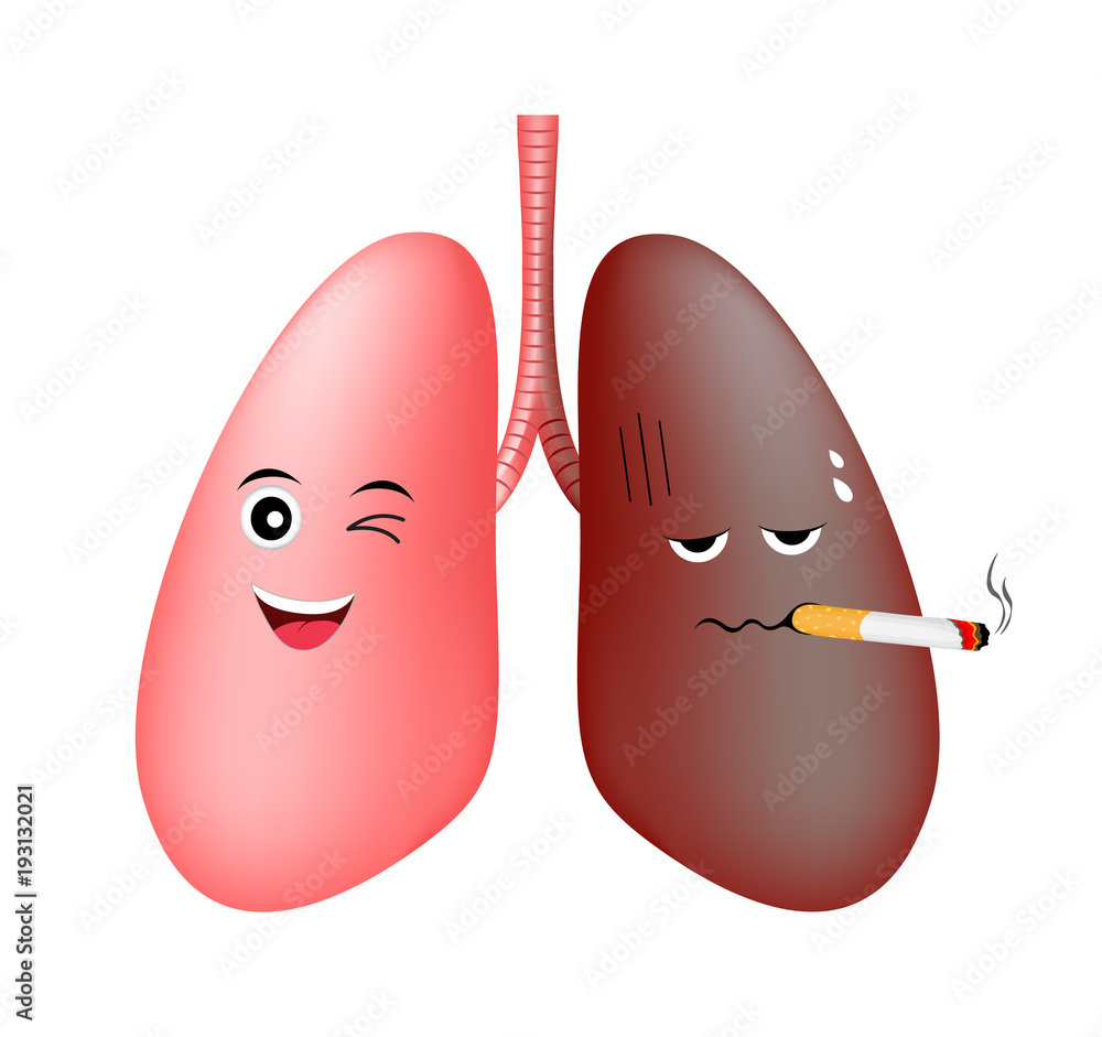 Healthy lung smile and damage smoking lung troubled. Cute cartoon  character. Health care concept Vector illustration isolated on white  background. Stock Vector | Adobe Stock