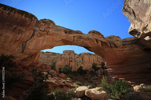 Hickman Bridge, Capitol Reef National Park photo