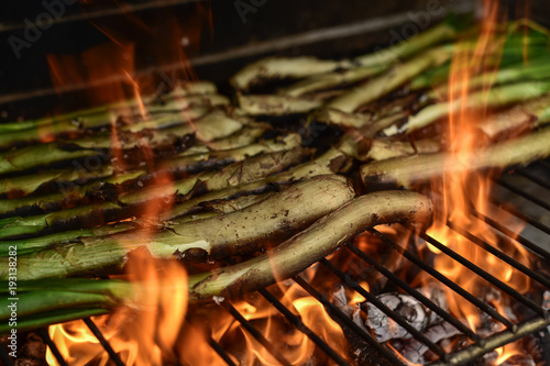 barbecuing calcots, onions typical of Catalonia photo
