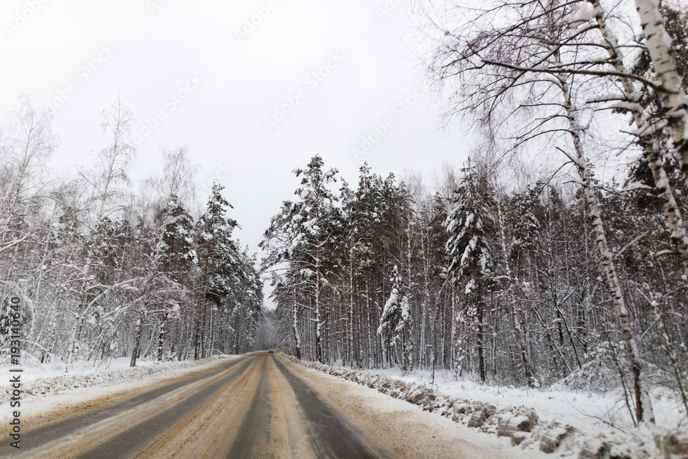 Obraz premium Asphalt road in the forest in winter