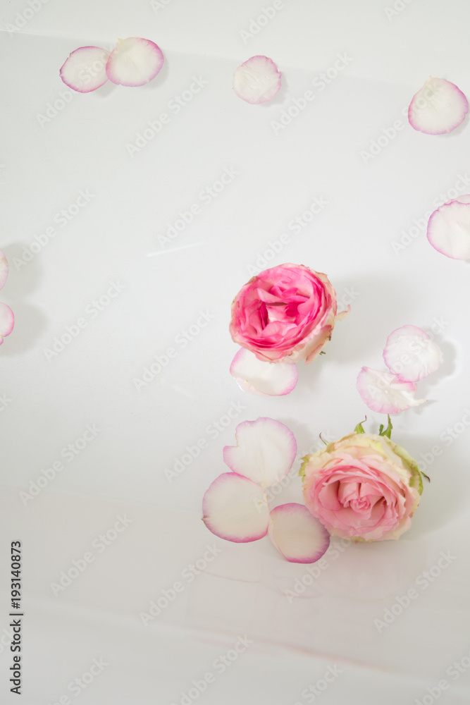 Schwimmende blütenblätter und Rosen Schwimmende blütenblätter und Rosen