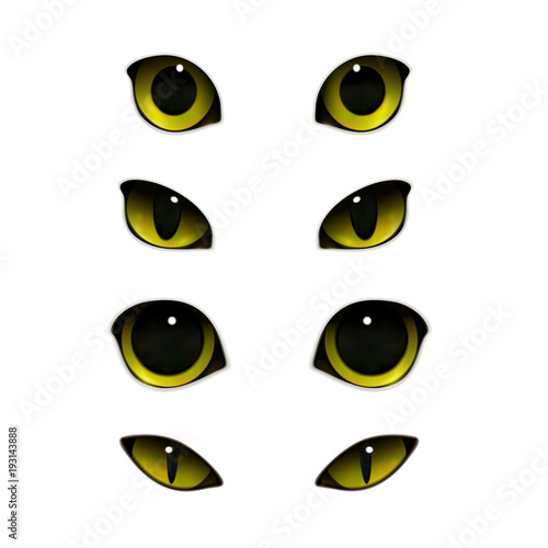 Cats Eyes Realistic Set