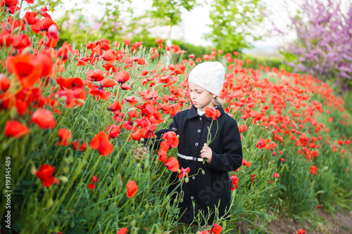beautiful little girl in a coat and hat collects poppies on a flowering field in spring