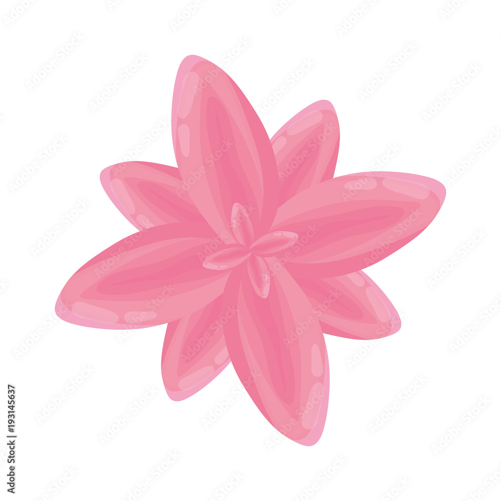 floral vector illustration floral vector illustration