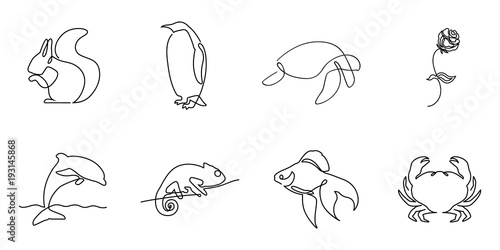 Collection of one line logos or icons. Includes squirrel pinguin turtle rose dolphin chameleon fish and crab minimalistic illustartions