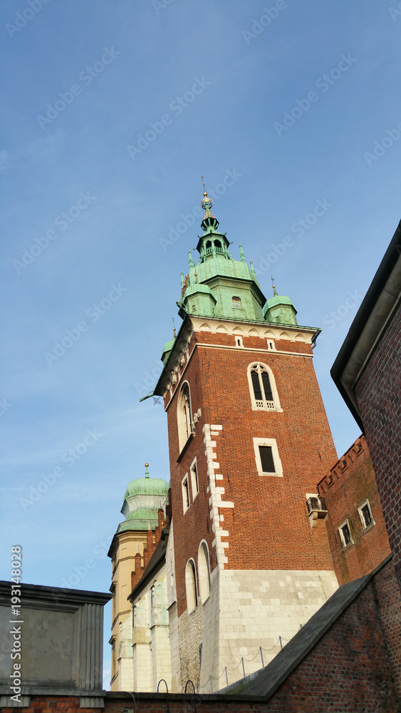 Domes of two Renaissance chapels on the side of the cathedral on