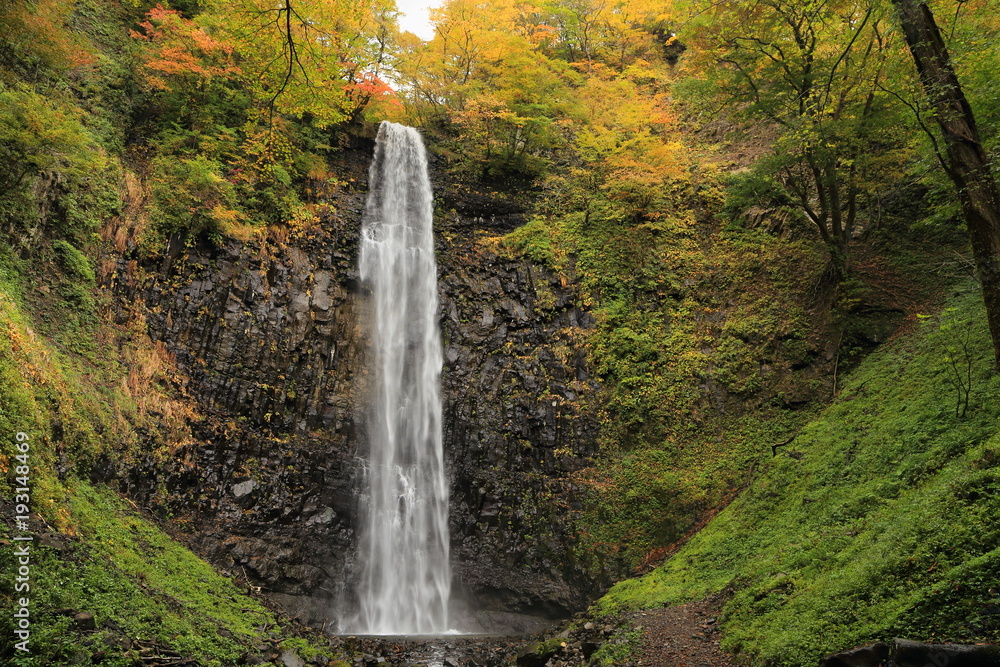 晩秋の玉簾の滝 Late autumn Tamasudarenotaki / Sakata, Yamagata, Japan