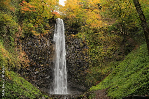 晩秋の玉簾の滝　Late autumn Tamasudarenotaki / Sakata, Yamagata, Japan