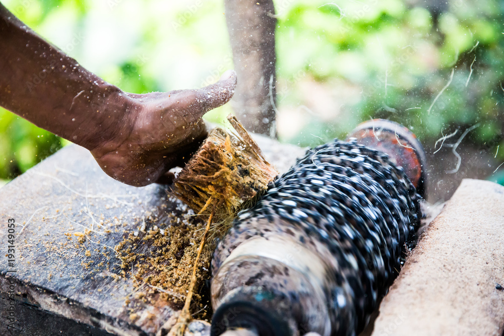 Grinding an edible tree in Indonesia Grinding an edible tree in Indonesia