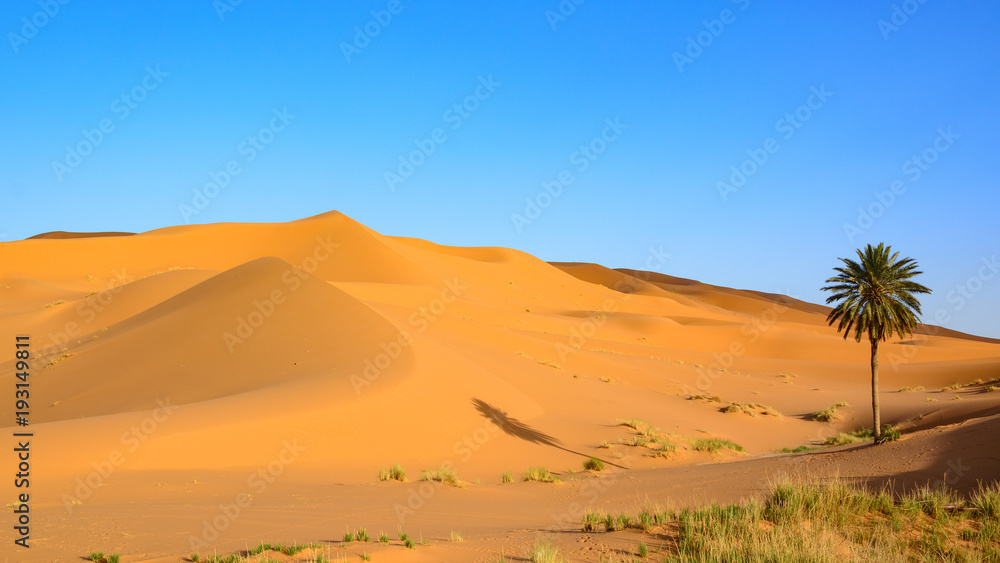 Erg Chebi dunes - Sahara. Merzouga. Morocco - obrazy, fototapety, plakaty 